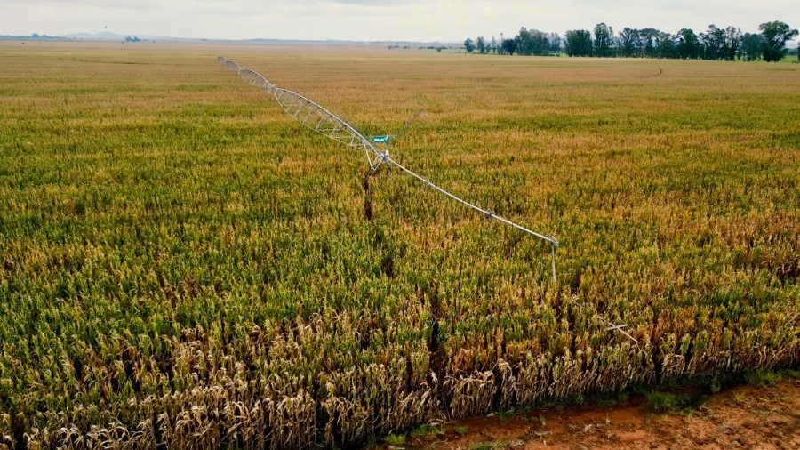 8 Bedroom Property for Sale in Bloemfontein Rural Free State